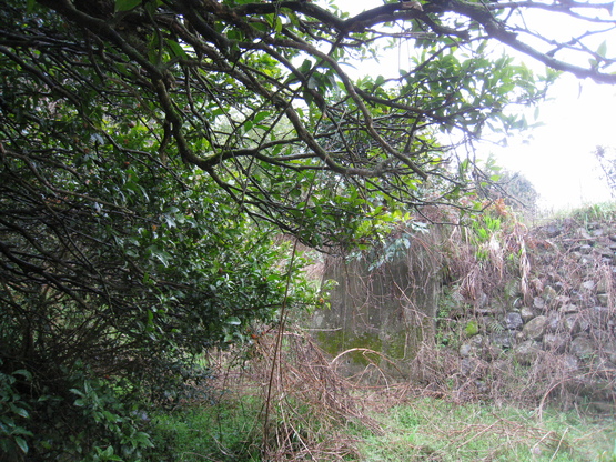 d0053616_12575550.jpg