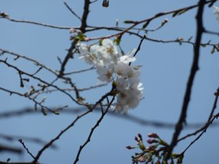 鎌倉・江の島ぶらり散歩_e0205917_957686.jpg