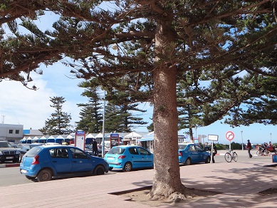 e0238838_82253.jpg
