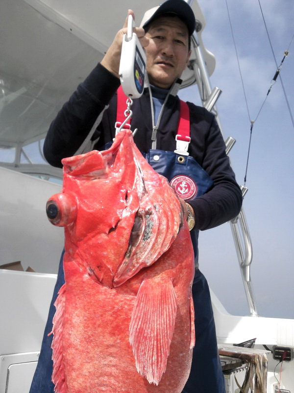 キターッ！！　ベニアコウ・・8.7kg！！【カジキ・マグロトローリング】_f0009039_1683578.jpg