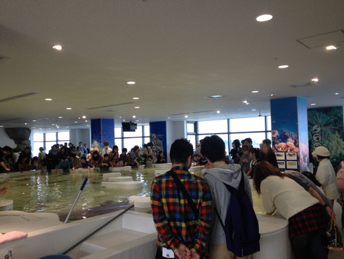 （大阪名所）海遊館 / Osaka Aquarium Kaiyukan_f0111040_7265938.jpg