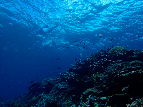 f0209740_10341299.jpg
