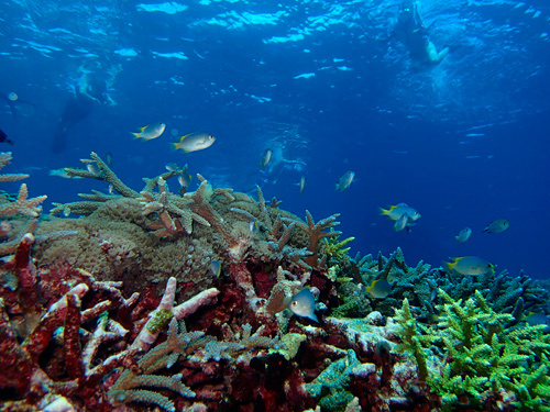 f0209740_1038336.jpg