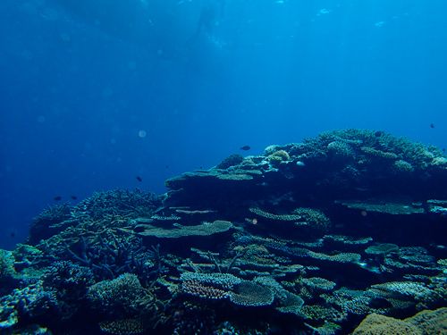 f0209740_10454474.jpg