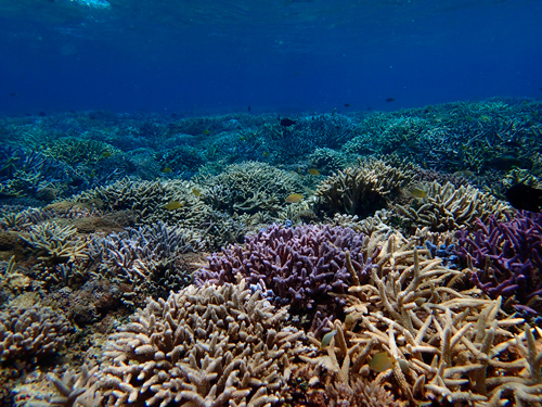 f0209740_1049267.jpg