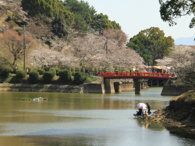 朝倉市、秋月〜甘木公園へ桜を求めて_b0124456_1914663.jpg