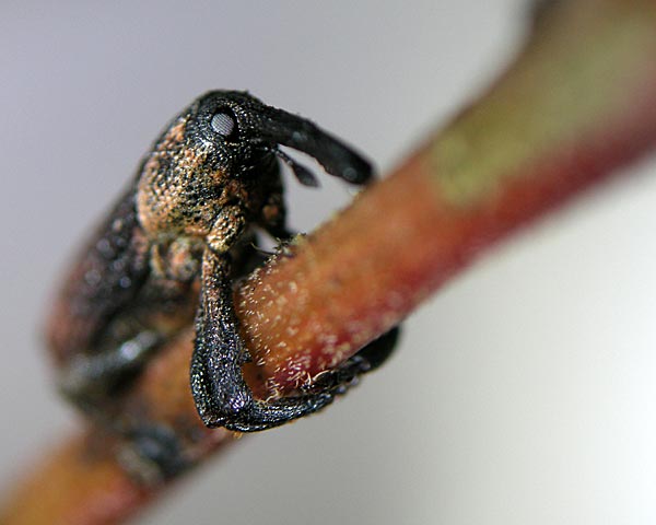 e0035757_23503.jpg