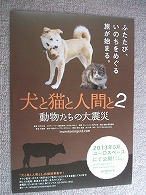 カラー映画の日_f0053757_12165237.jpg
