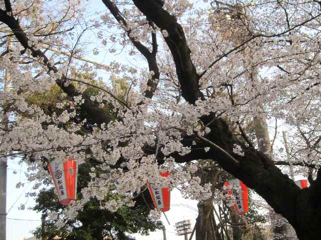 c0042960_2217168.jpg