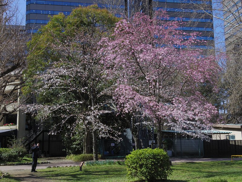 b0084270_28329.jpg