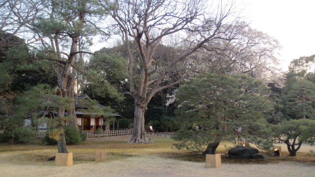 e0212073_1349212.jpg