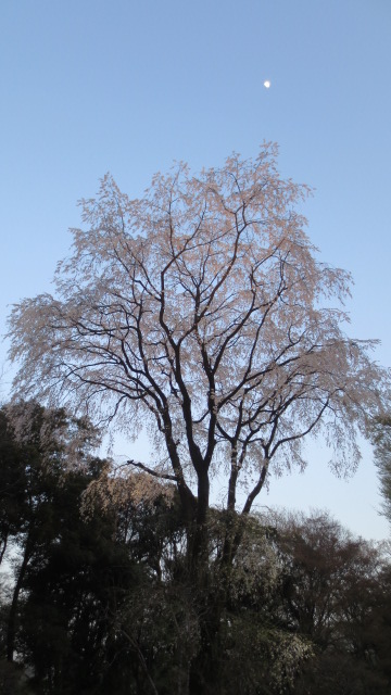 e0212073_13515350.jpg