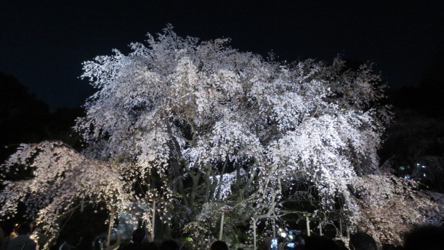 e0212073_13522924.jpg