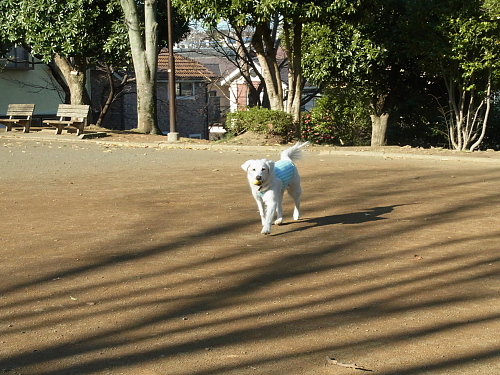 b0136381_1331720.jpg