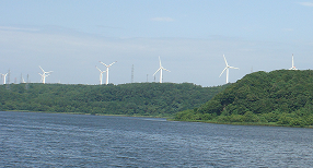 a0247884_2148489.png