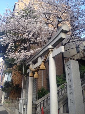 近所の春_c0204289_18142814.jpg