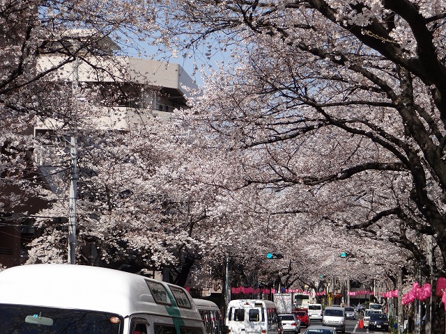 d0050290_2347037.jpg