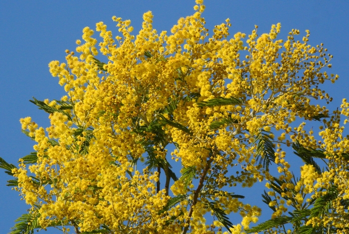 a0223993_17491478.jpg