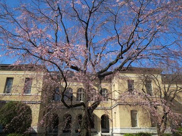 e0111793_093958.jpg