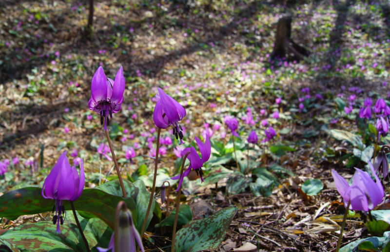 b0078795_1918637.jpg