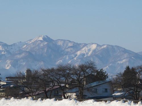 東京は２週間早く清明を迎え、冬の名残り米沢の早朝散歩は孫と（２）_c0075701_9235145.jpg