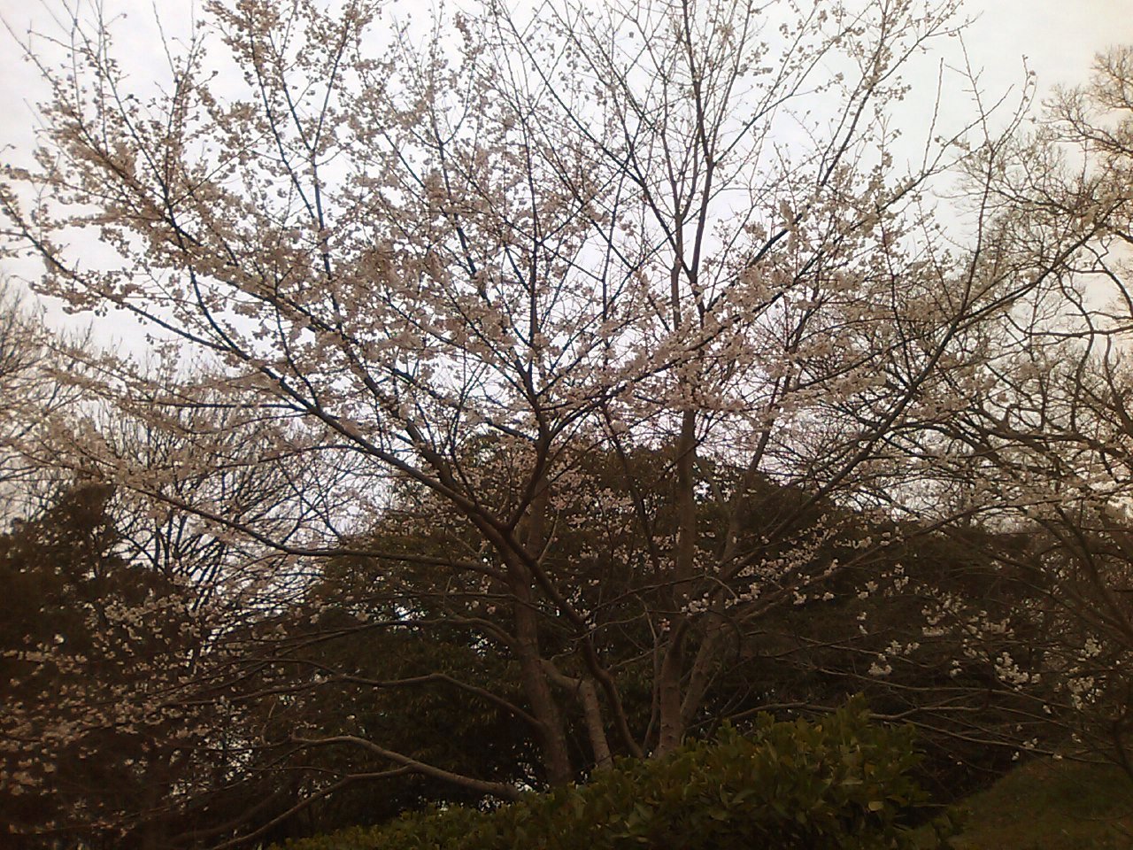 a0291602_19512399.jpg