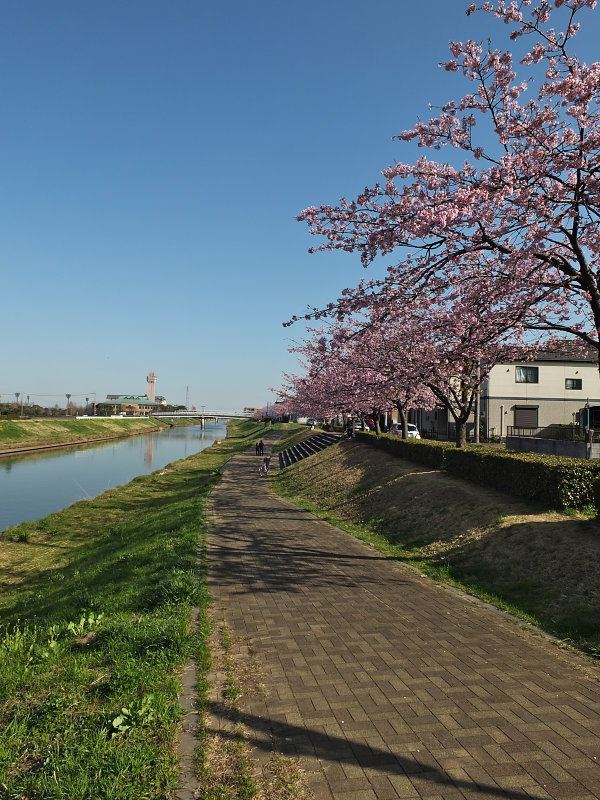 d0078406_752316.jpg