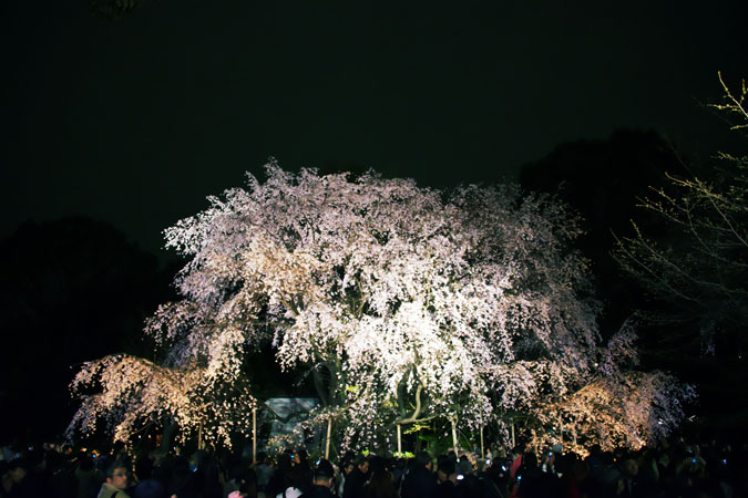a0263109_7264468.jpg