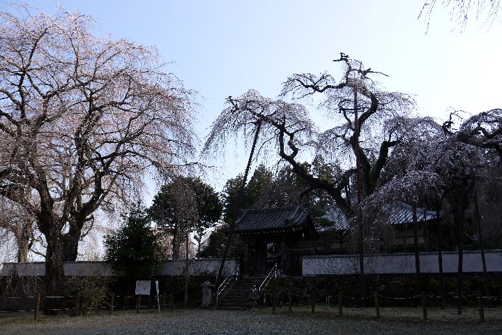 a0268412_2353679.jpg