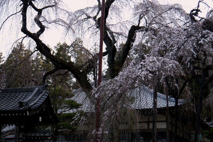 a0268412_2354886.jpg