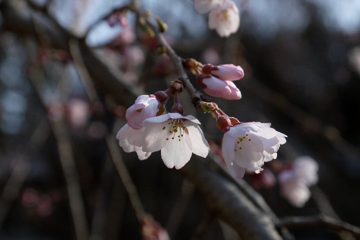 a0268412_2355713.jpg