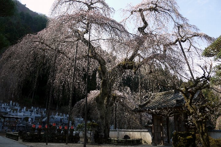 a0268412_2355994.jpg
