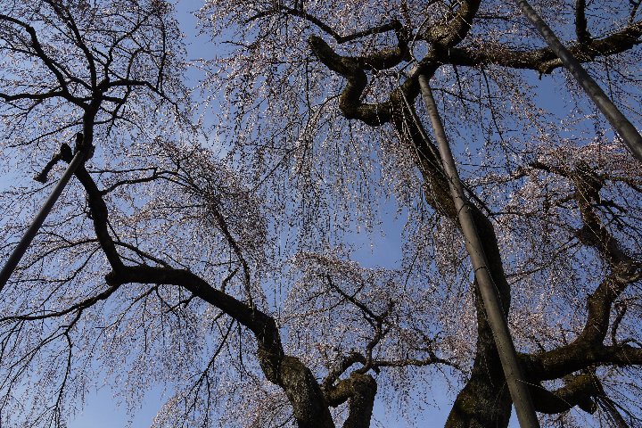 a0268412_236255.jpg