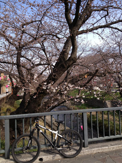 一年点検メンテナンス_b0179213_1758463.jpg