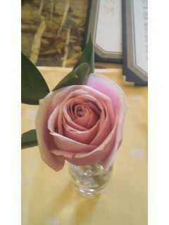 Rosy♪…_f0126121_1651612.jpg