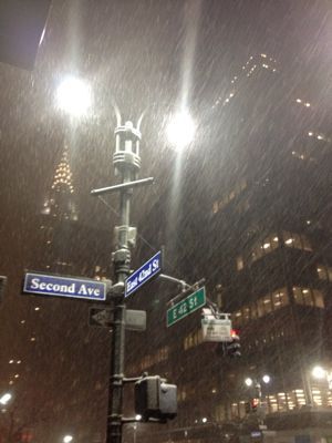 ニューヨークはまた雪が降りました!!_f0095325_9372566.jpg