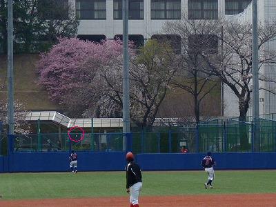 Honda対國學院大 3月20日 オープン戦 後半_b0166128_1950383.jpg
