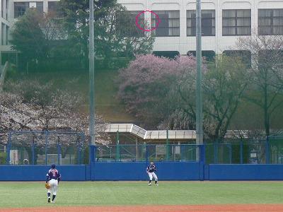 Honda対國學院大 3月20日 オープン戦 後半_b0166128_20483172.jpg