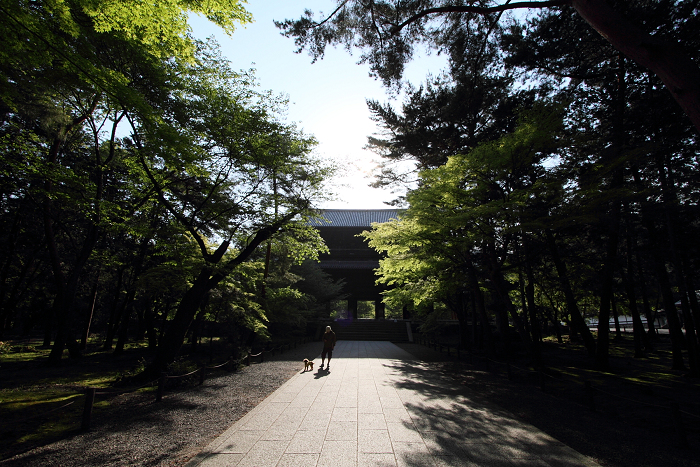 新緑の哲学の道巡り －南禅寺－_b0169330_042195.jpg