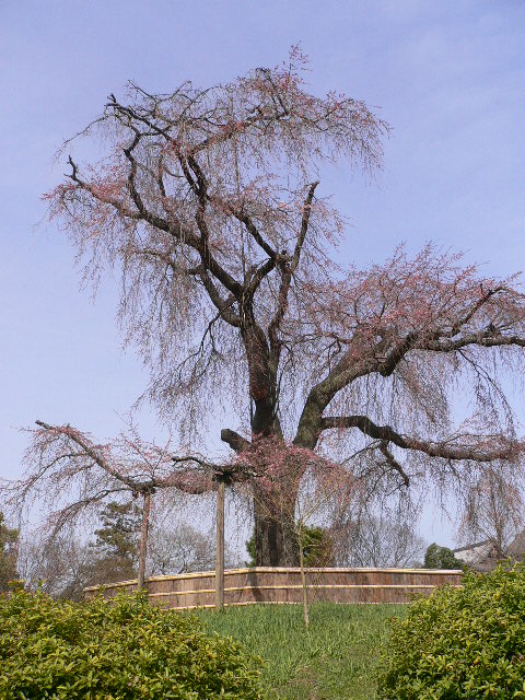 c0223630_2248396.jpg