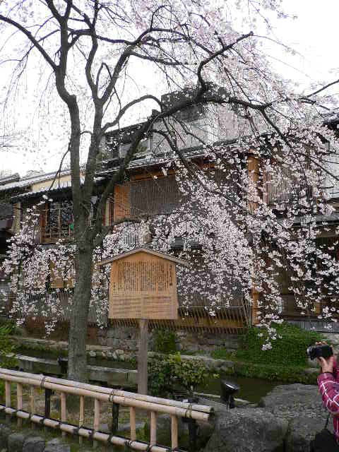c0223630_22505937.jpg
