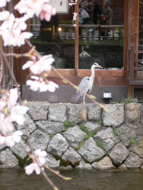 c0223630_22512252.jpg