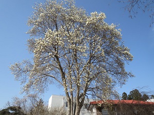 f0161535_2147355.jpg