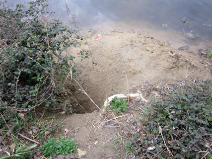 -40cm, +100cm!_f0234936_23343392.jpg