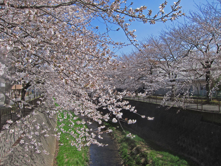 b0042837_2214965.jpg
