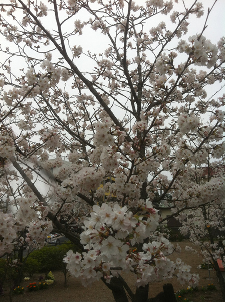 c0036138_0422339.jpg