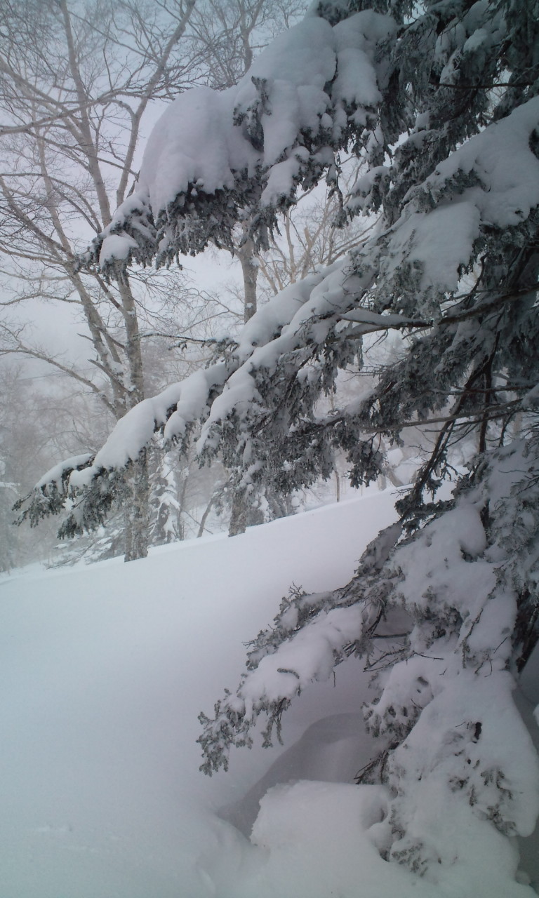 大雪山スキー_c0034541_17132829.jpg