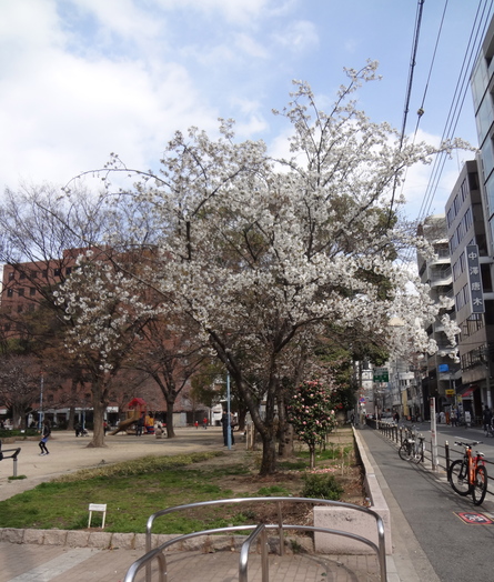 f0040342_2124979.jpg
