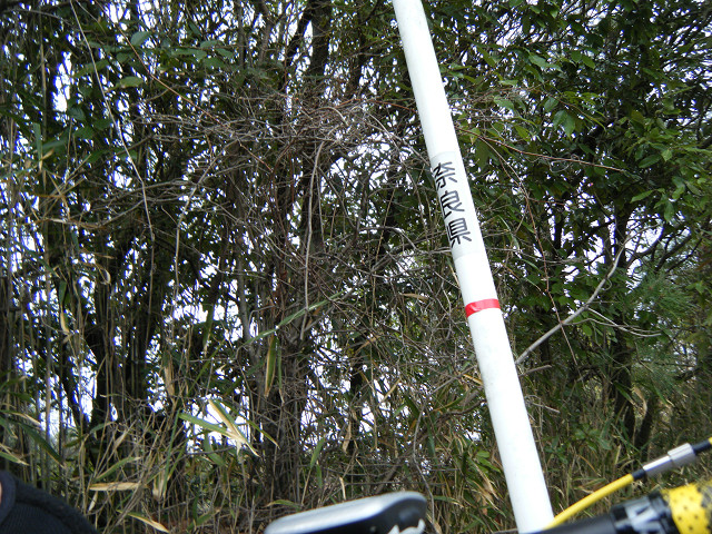 b0088444_2215456.jpg