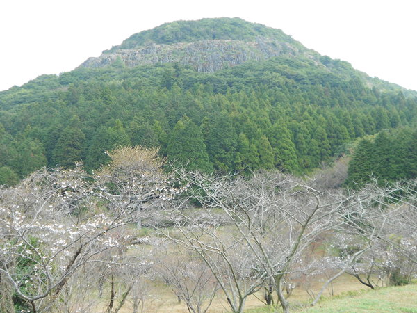 白岳　岩登りを楽しむ_a0206345_22381329.jpg